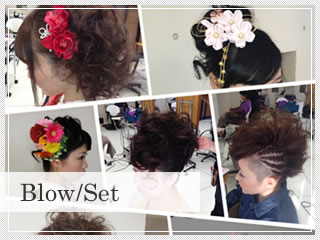 blow/set